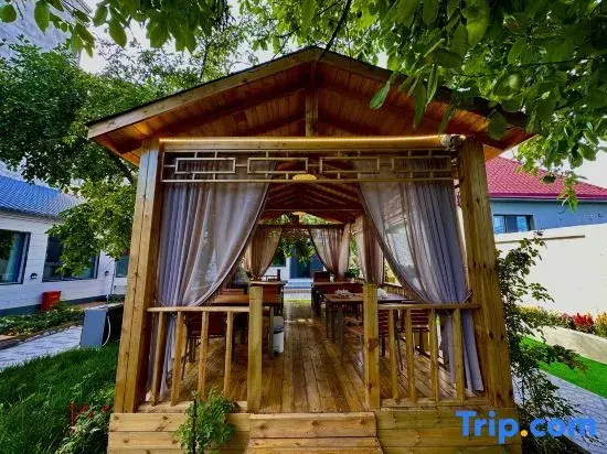 Suyi Courtyard Homestay in Tekes