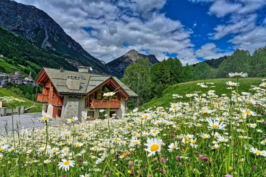 Chalet Taulei