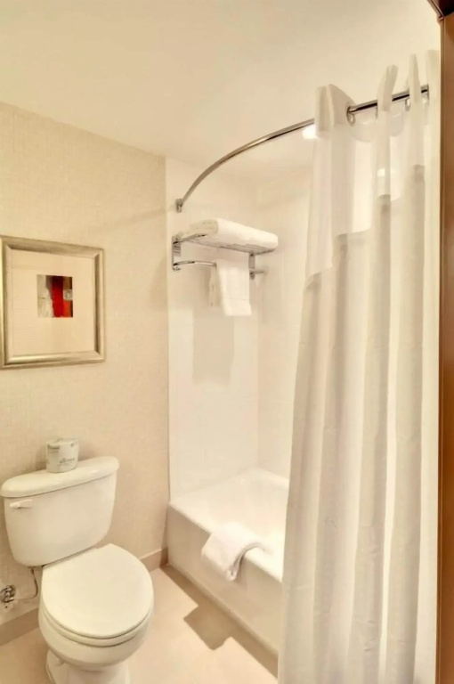Holiday Inn Downtown - Mercy Area by IHG - Général