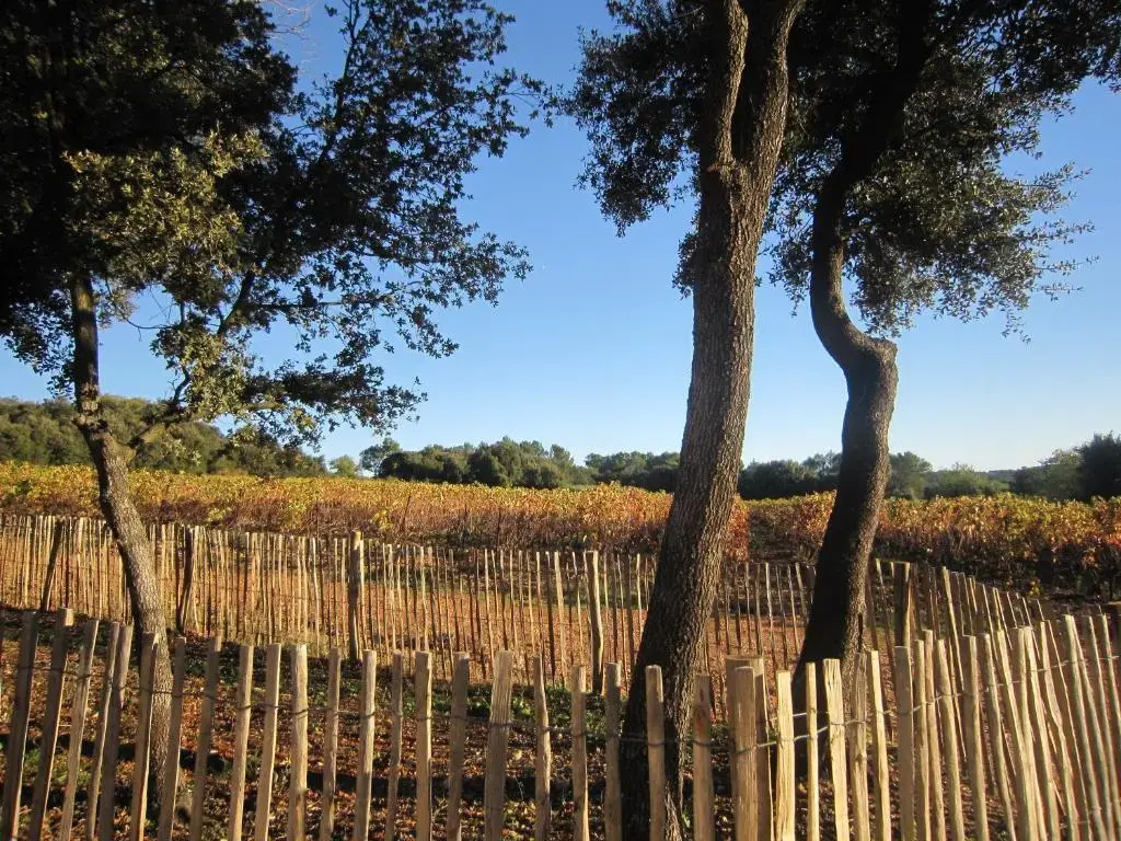 Voir la photo 4 — Les Cabanes de Carelle