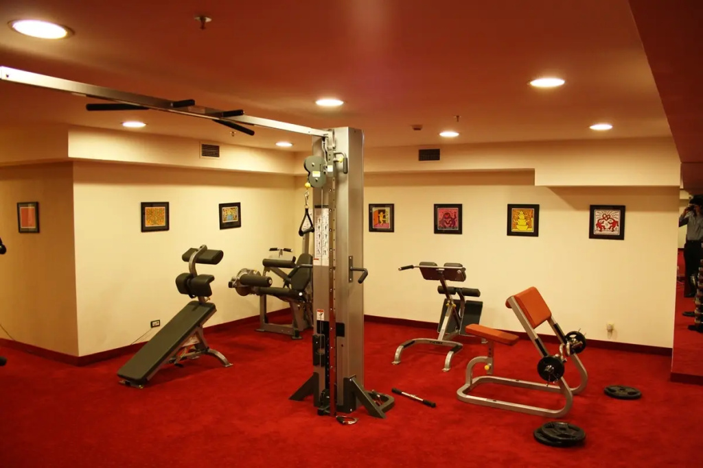 Piraeus Theoxenia Hotel - Général