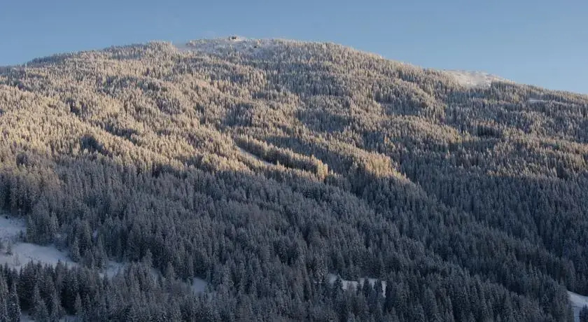 Chalet Bergheimat - Général