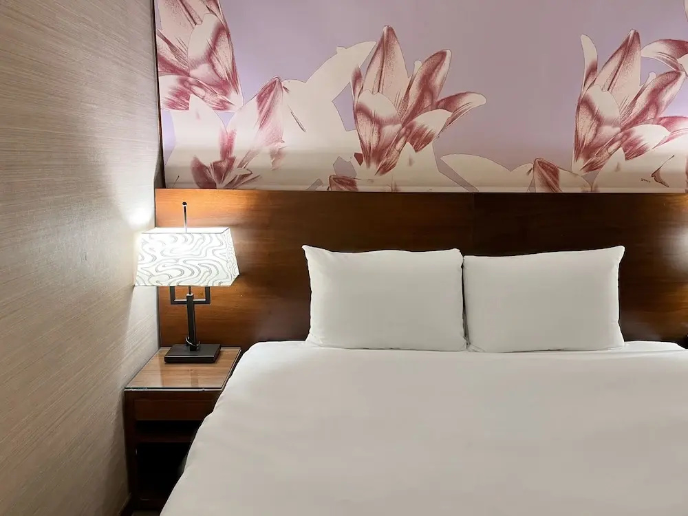 Deluxe Double room with city view twin beds
