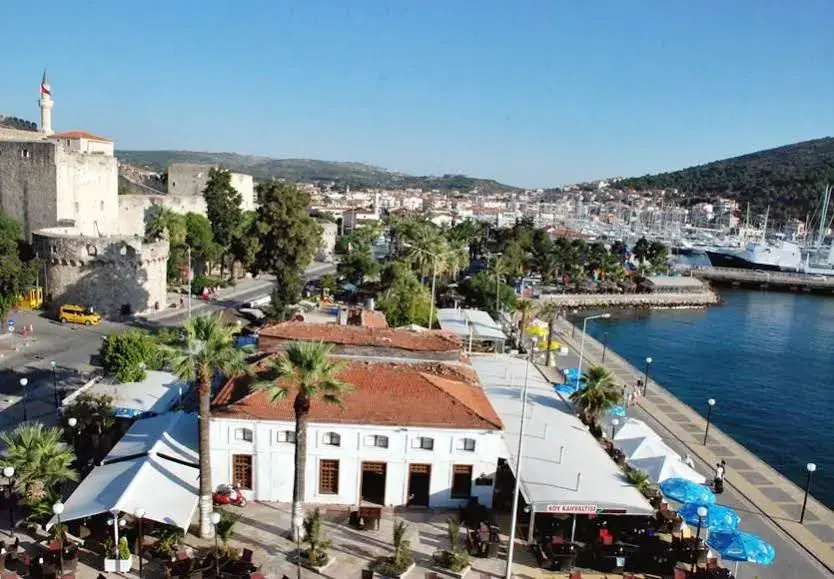 Beach & Waterfront