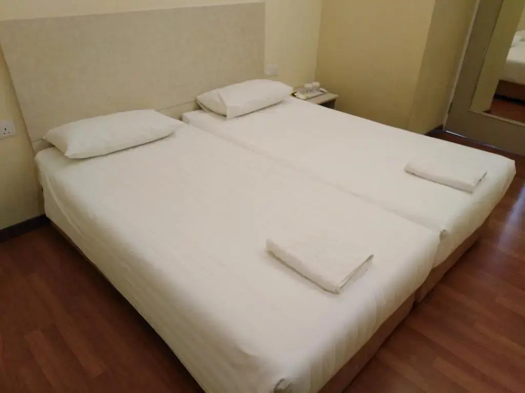 Standard Double room (twin beds)