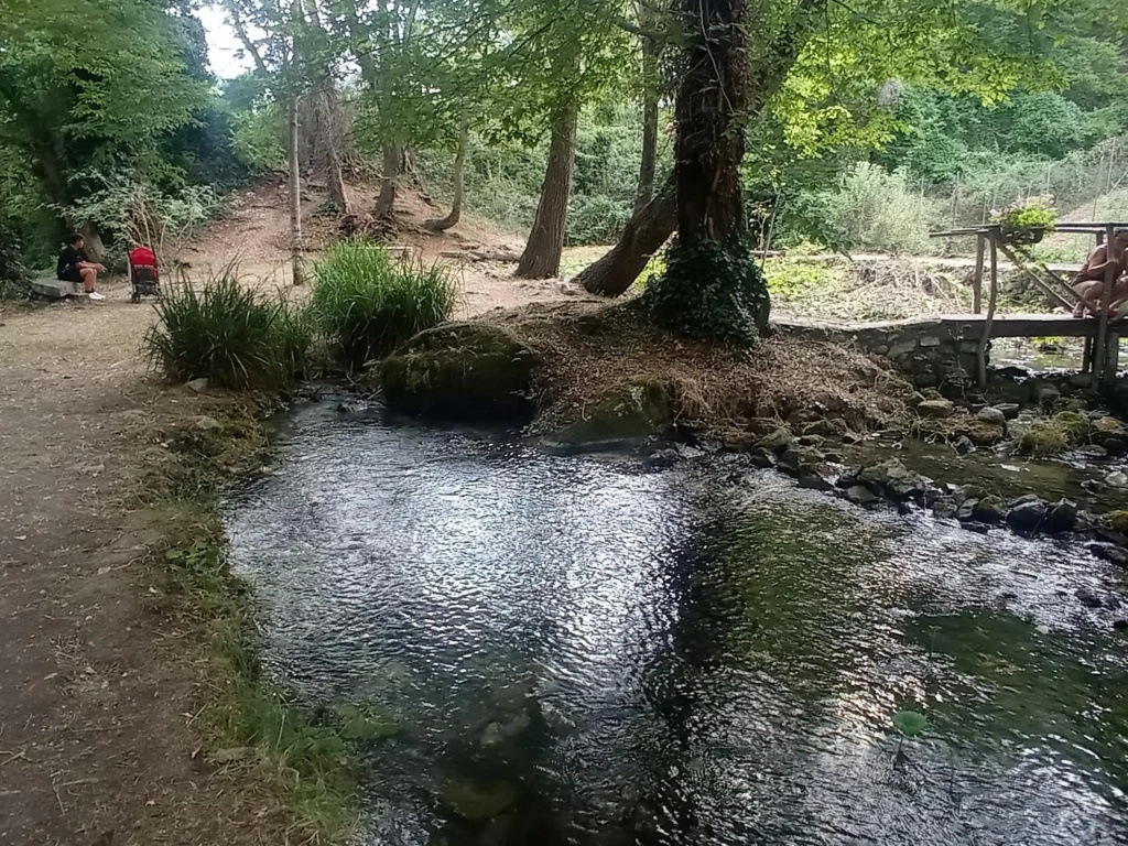 La Carovana Gitana