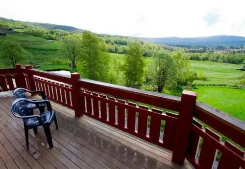 Balcony & Terrace