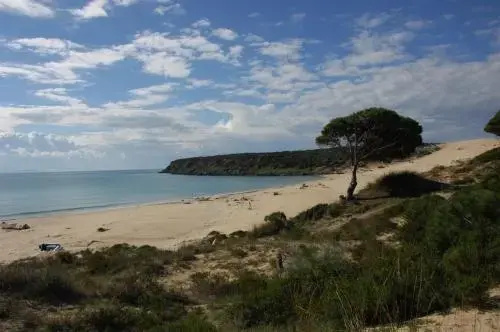 Beach & Waterfront