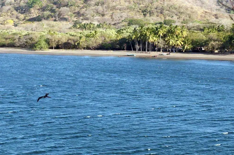 Vista Bahia Vacation Rental - фото 21