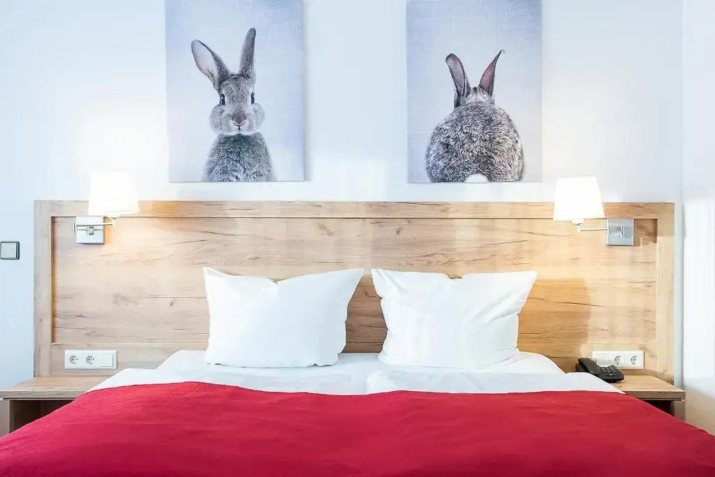 Hotel Diana Feldberg - Chambres