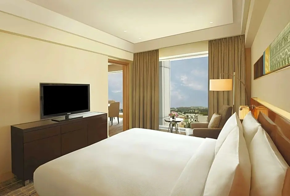 Executive Double Suite (full double bed)