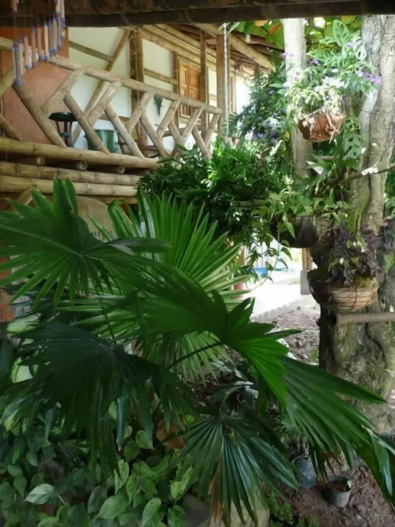 Parador del Gitano Hotel & Restaurante - Général