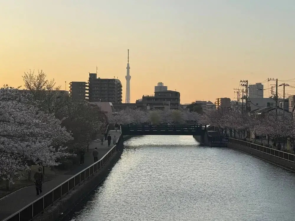 Nakakasai 2 kodate