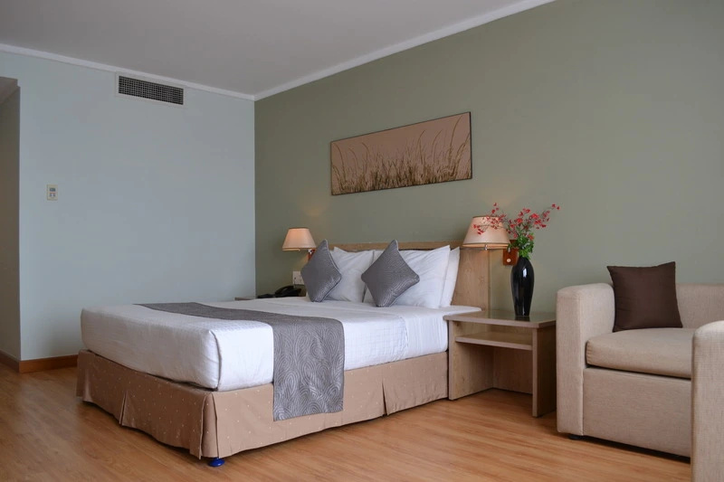Vien Dong Hotel - Chambres