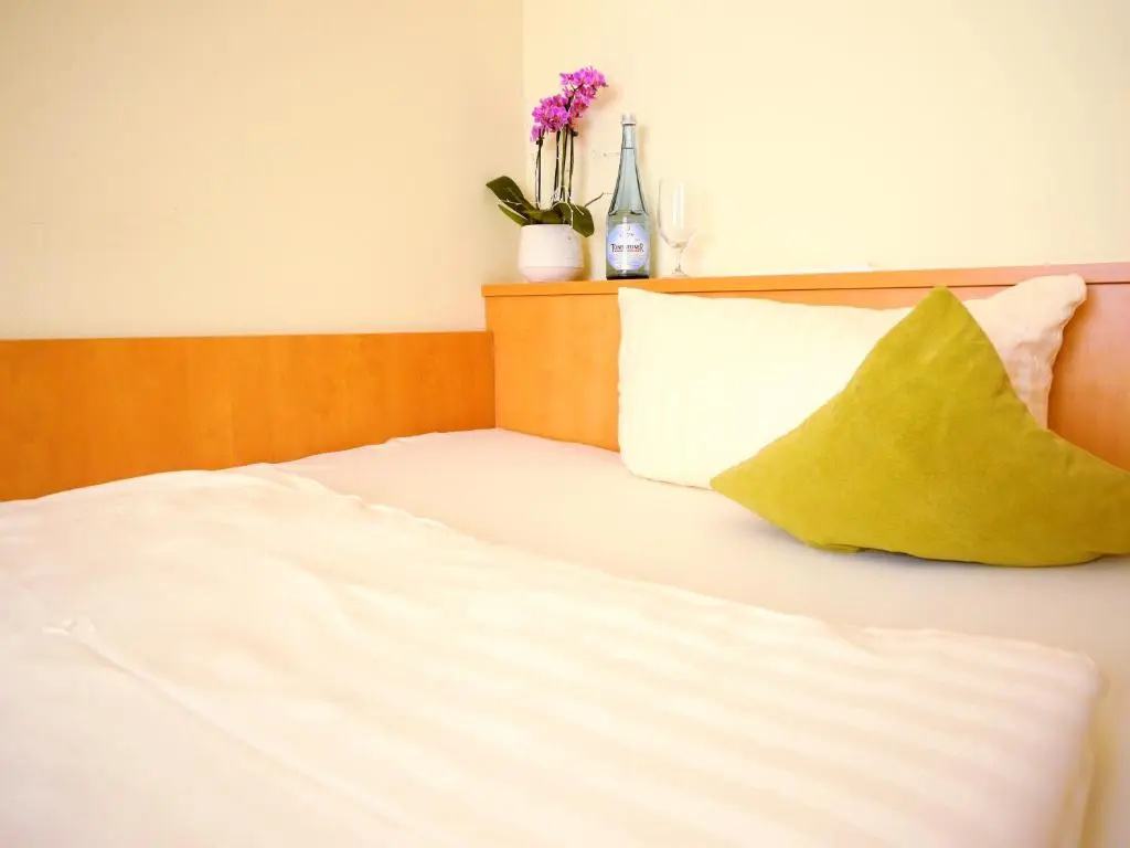 Mosel Hotel Hahn - Chambres