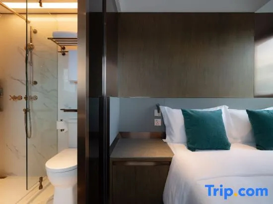 Standard Double room with city view (full double bed)