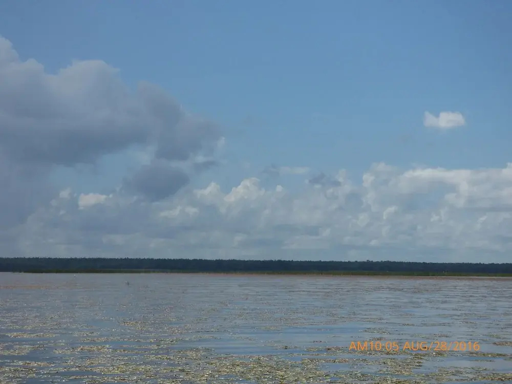 Beach & Waterfront