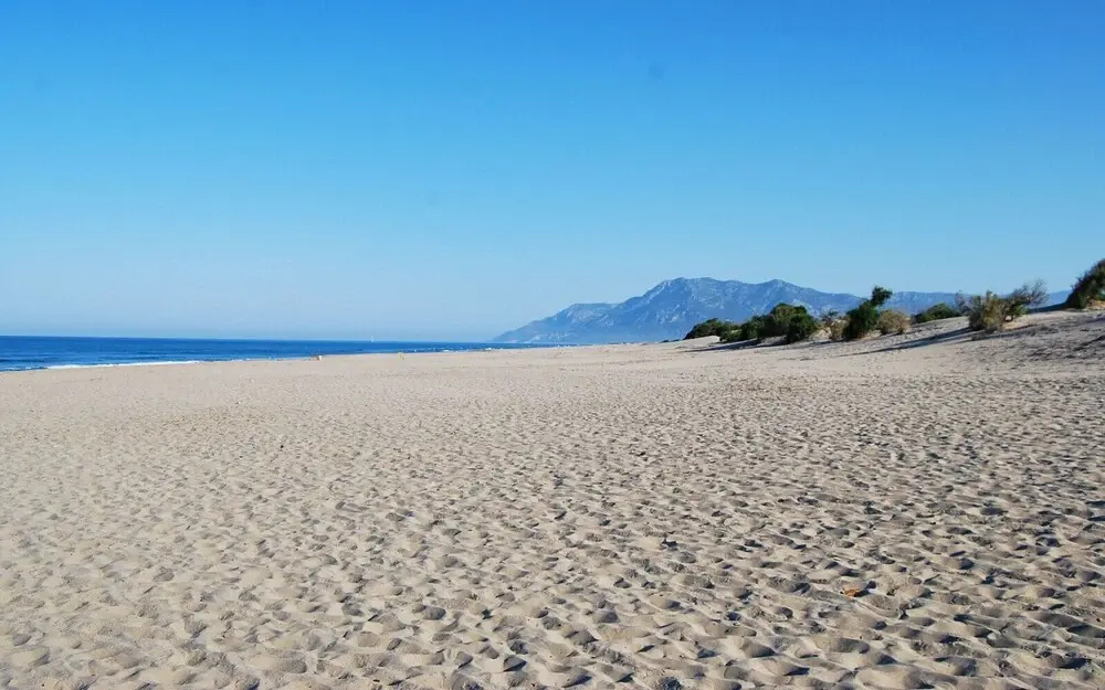 Beach & Waterfront