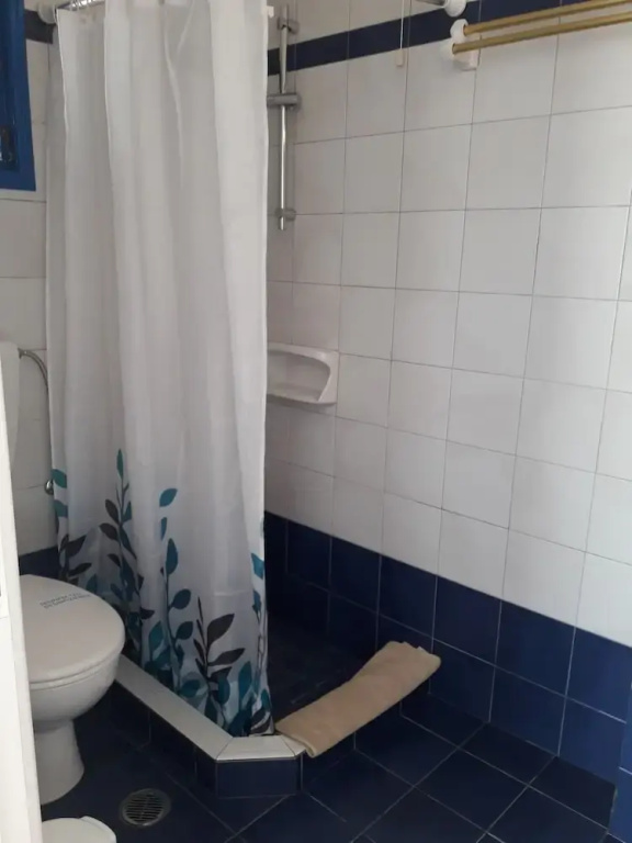 Standard Single room with garden view