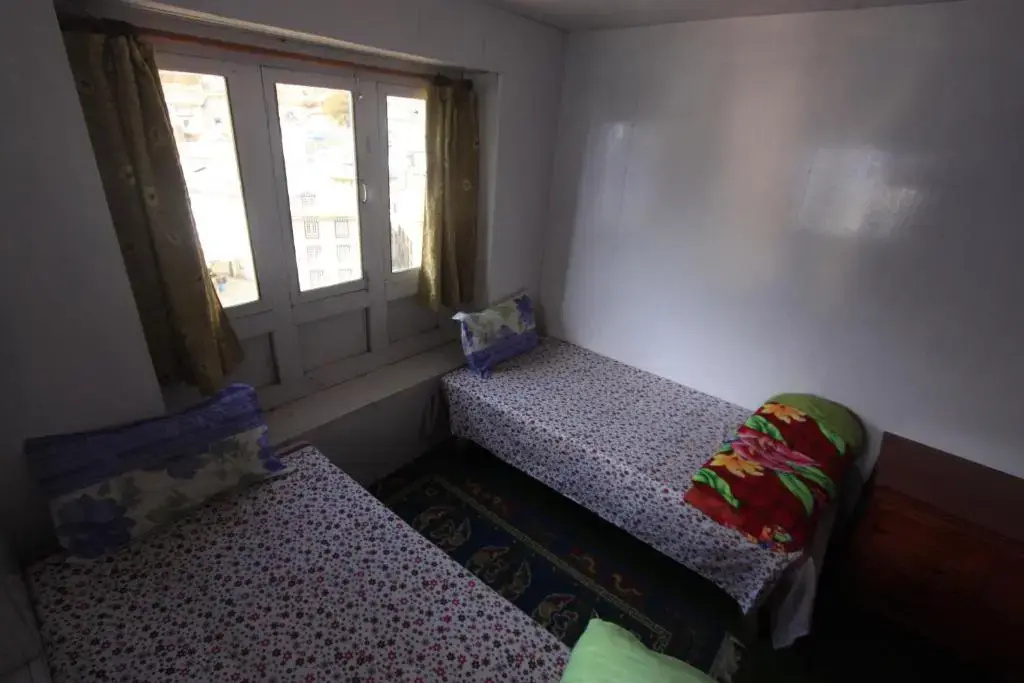 Economy Double room (twin beds)