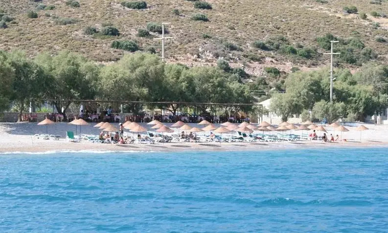Beach & Waterfront