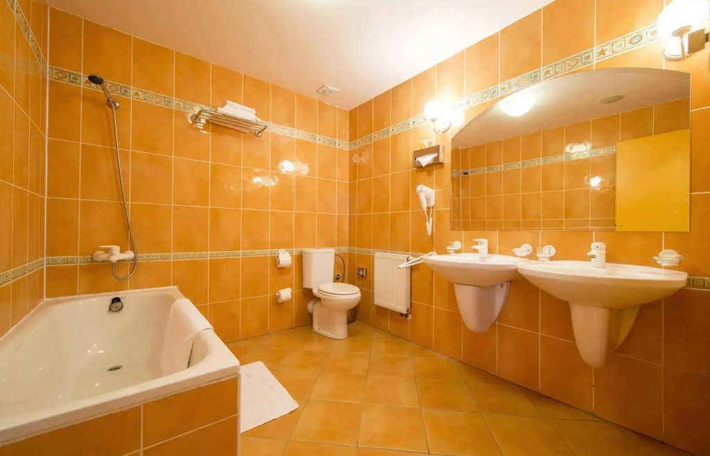 Hotel Dvořák - Général