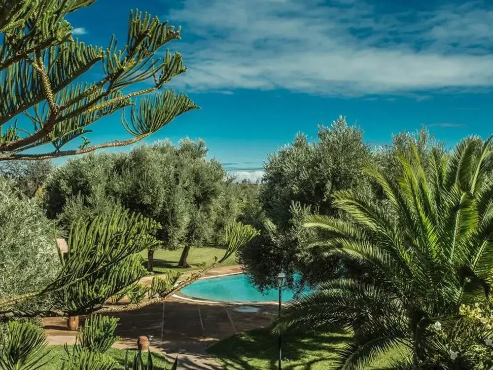 Villa les Oliviers 2 Bedrooms - A Setting of Tranquility - фото 27