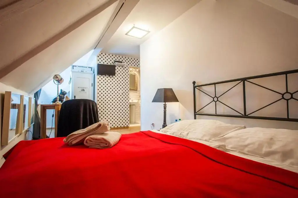 Standard Double room with lake view (full double bed)