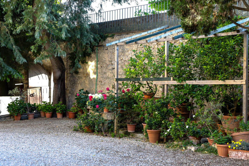 Fattoria Guicciardini - Général
