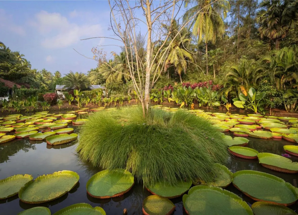Dindi RVR on the Godavari, A Club Mahindra Associate Resort