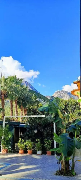 Hotel photo 38