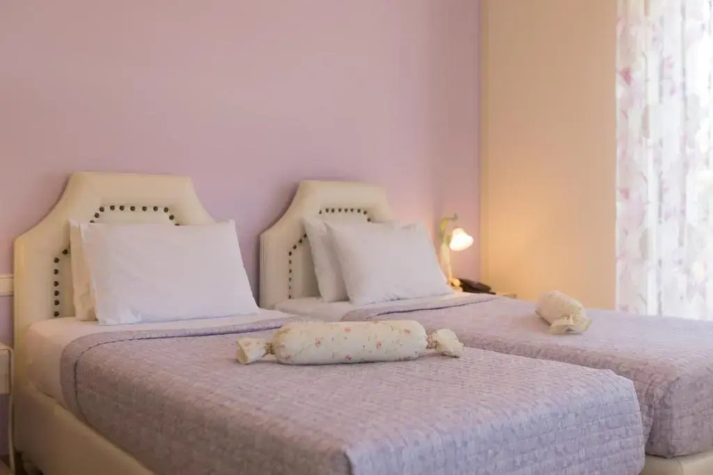 Standard Double room (twin beds)