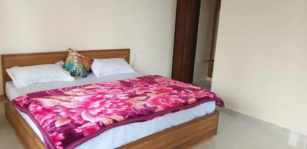 Standard Double room with mountain view (full double bed)