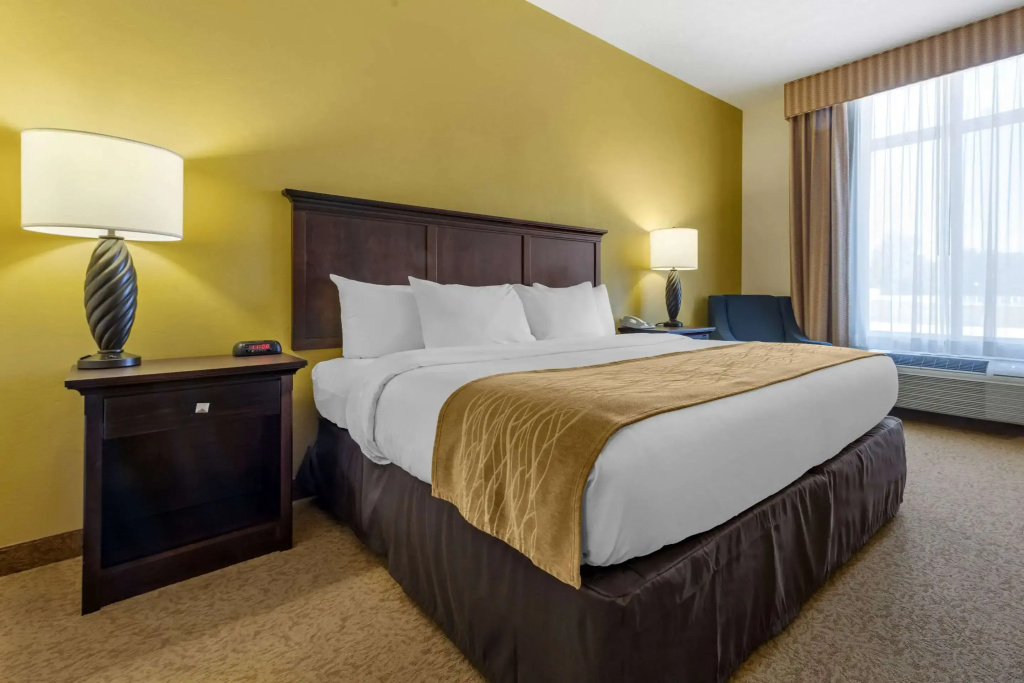 Comfort Inn & Suites Dover - Chambres