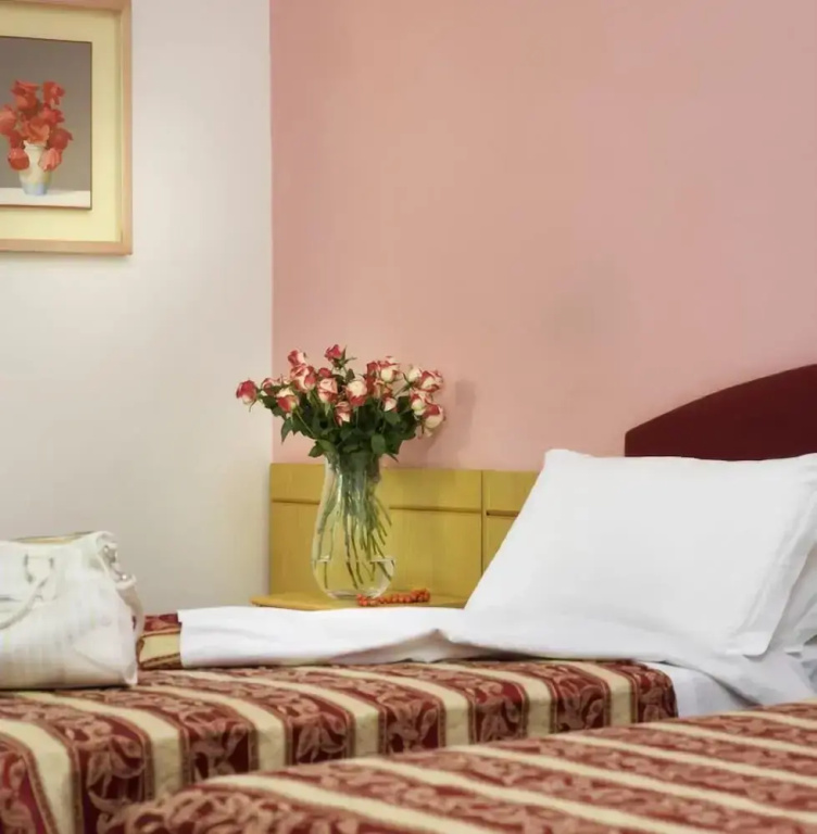 Comfort Double room (full double bed)