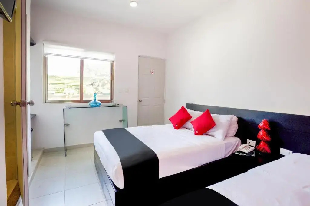 Hotel Quinta Santa Anita - Chambres