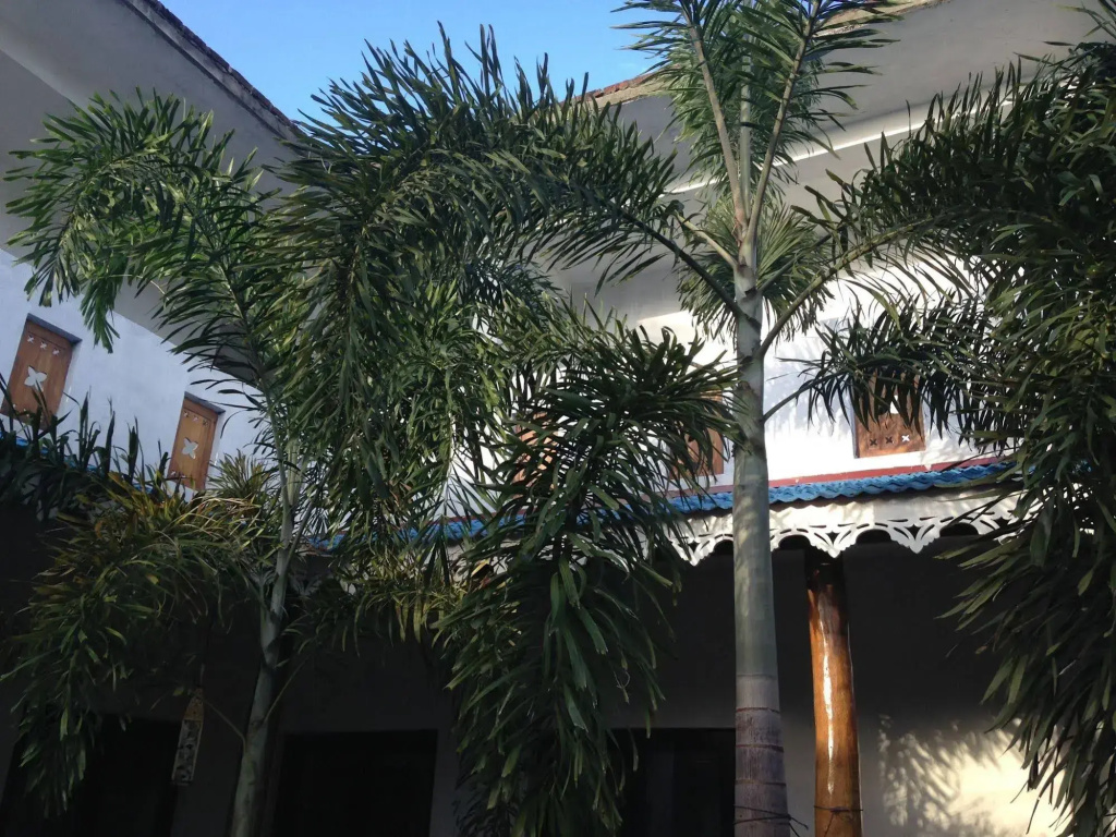 Friends Guesthouse Negombo