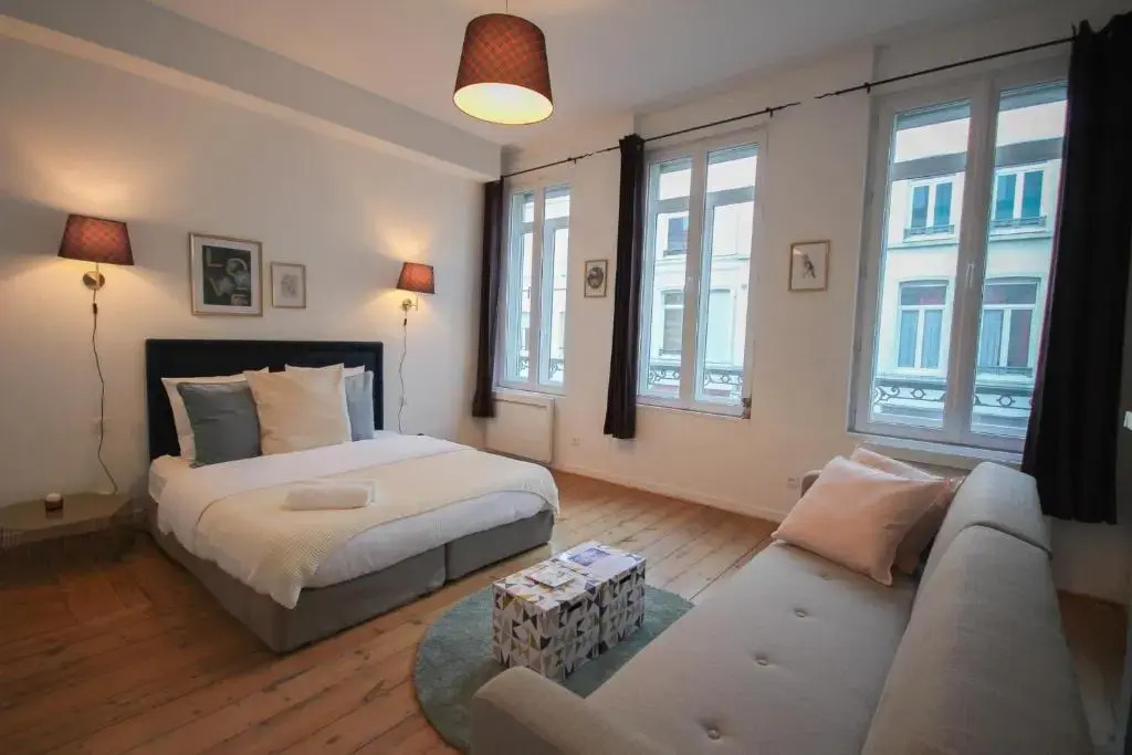 Lille Centre - Nice cozy and functional studio
