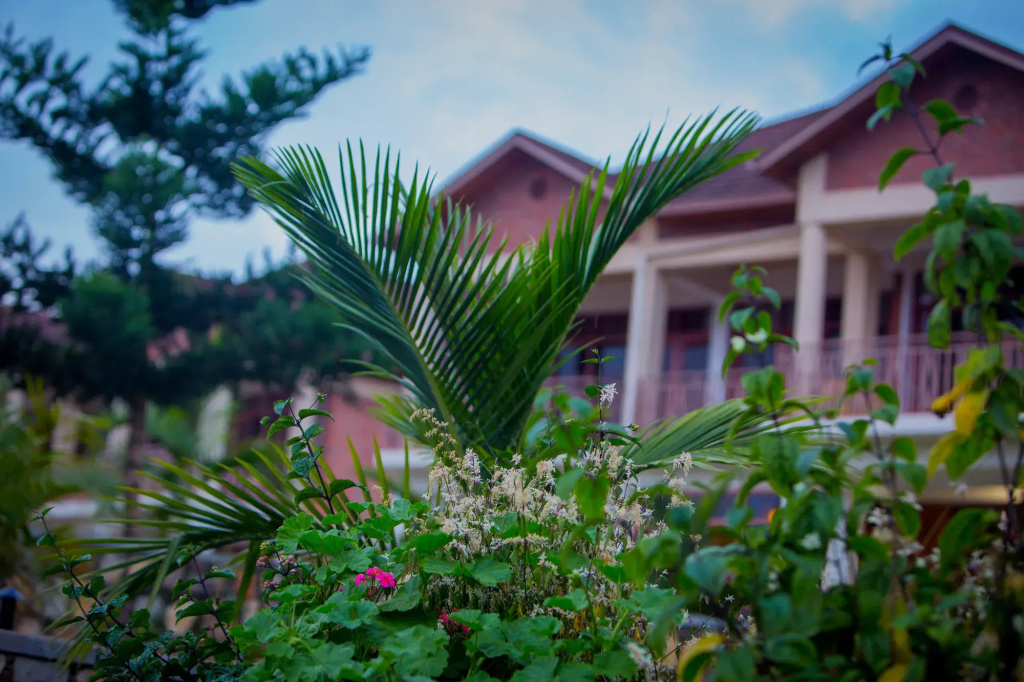 Quiet Haven Hotel - Général