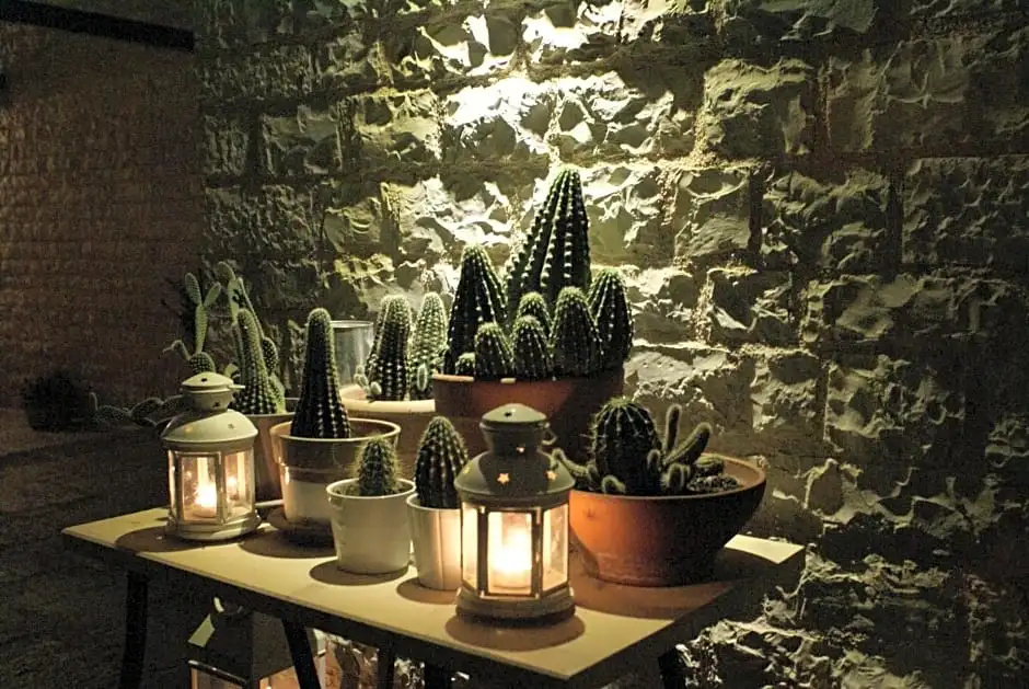 Gamila Rocks Mountain Hotel - Général