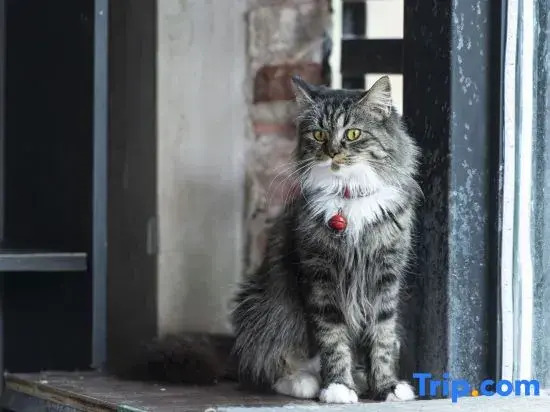 Yunshe Villa Hotel — фото 3