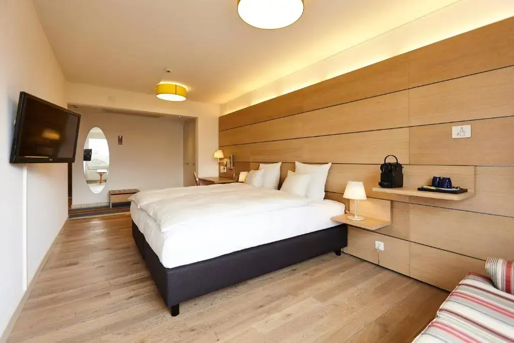 Large Double room (full double bed)