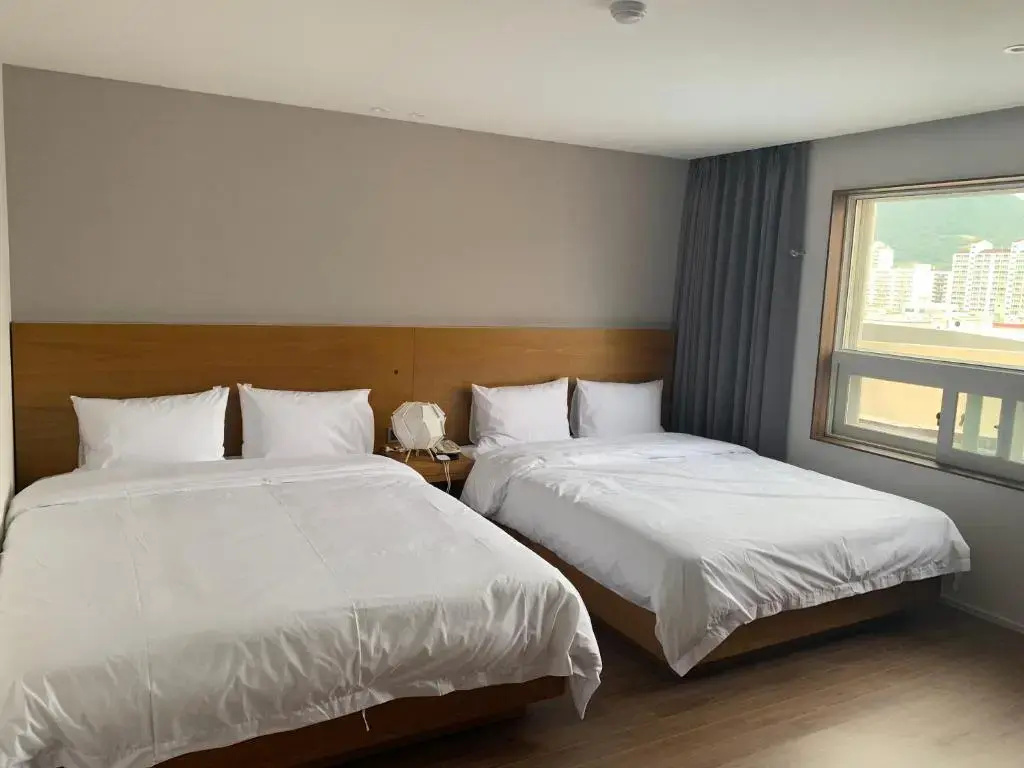 Deluxe Double room (twin beds)