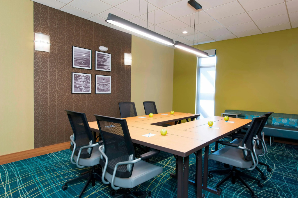 Springhill Suites Houston Sugar Land - Général
