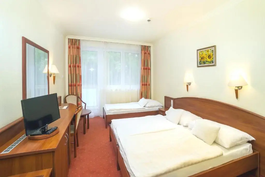 Hungarospa Thermal Hotel - Chambres