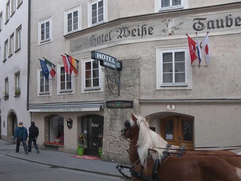 Altstadthotel Weisse Taube