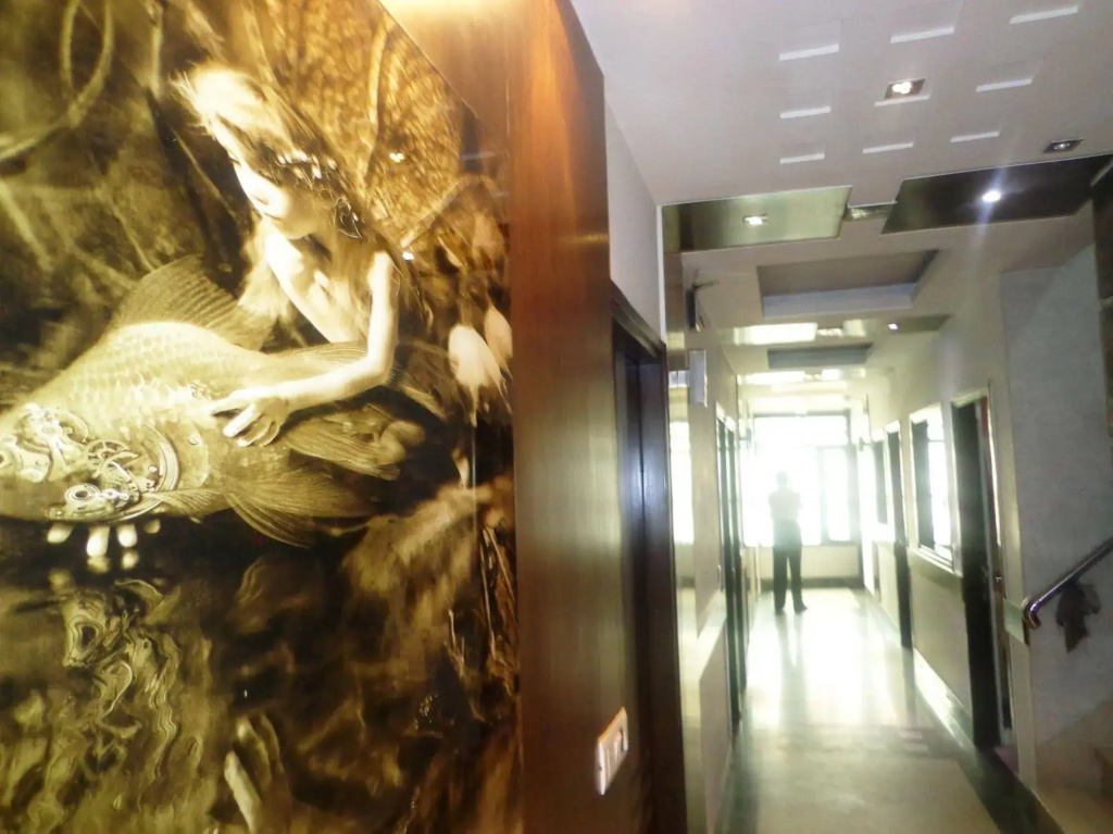 Hotel Millennium 2000 DX - Général