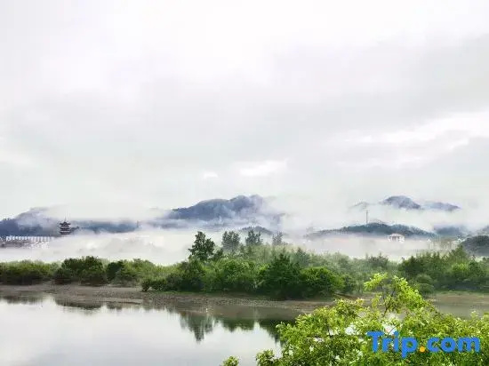 Qingqingxi'an. Meisu
