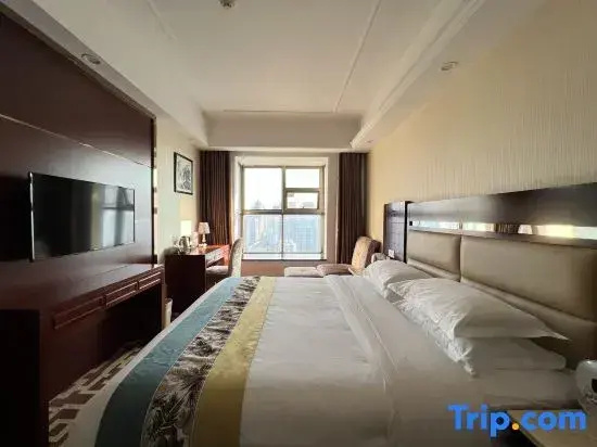Standard Double room with city view (full double bed)