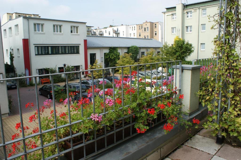 Image 12